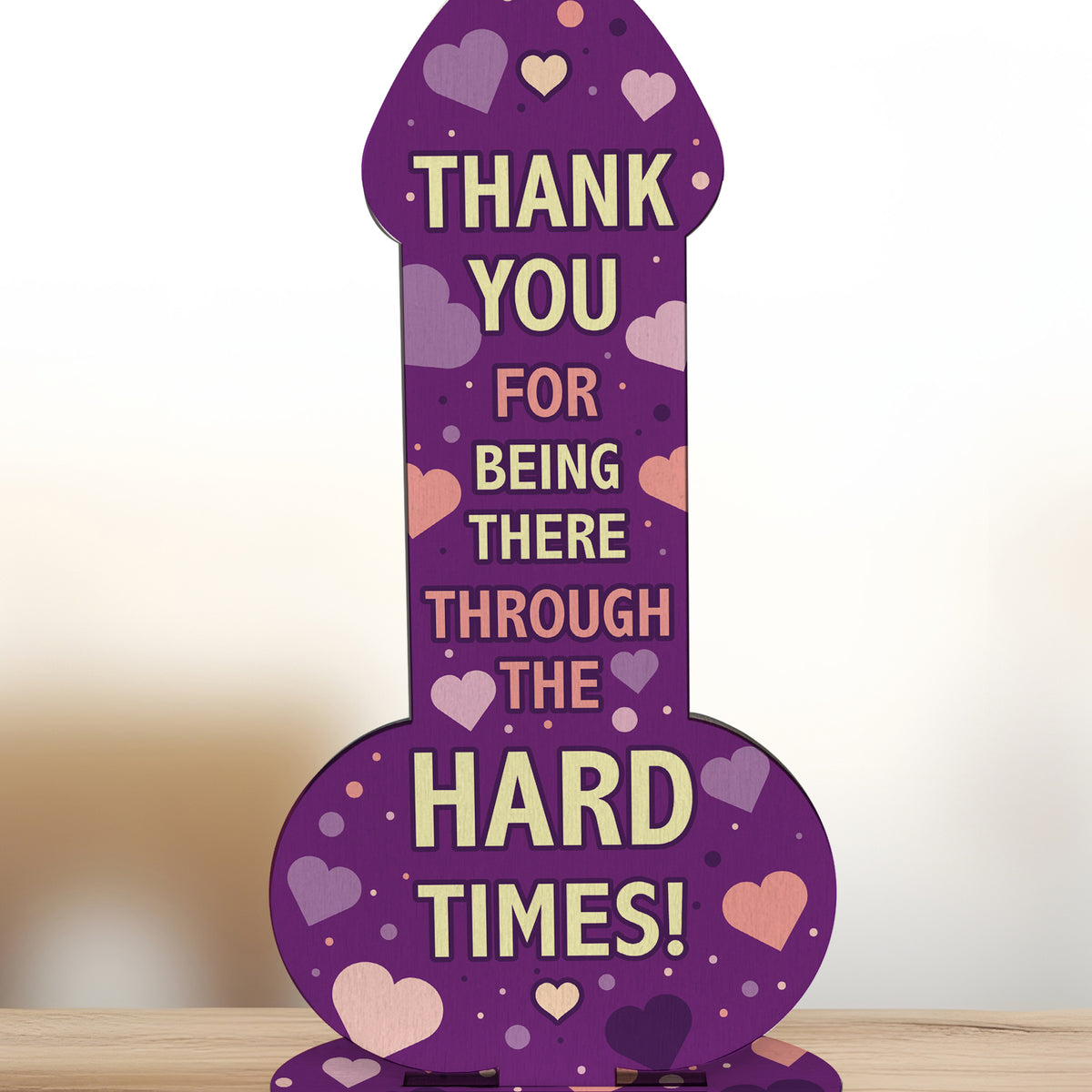 Funny Thank You Gift Rude Friendship Sign Joke Gift Best Friend