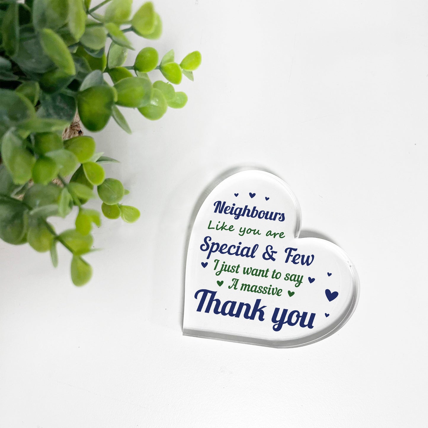 Thank You Gift For Neighbour Acrylic Plaque Neighbours Like You