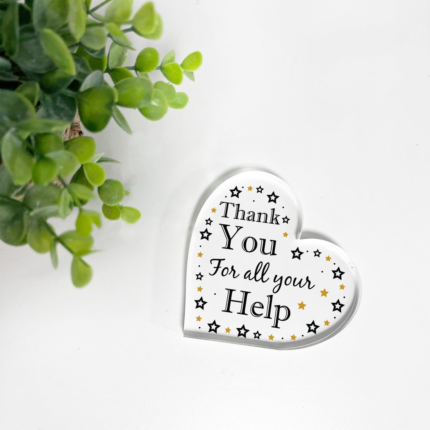 Gift For Colleague Volunteer Teacher Acrylic Plaque Thank You