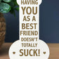 Novelty Gift For Friend Thank You Best Friend Funny Birthday
