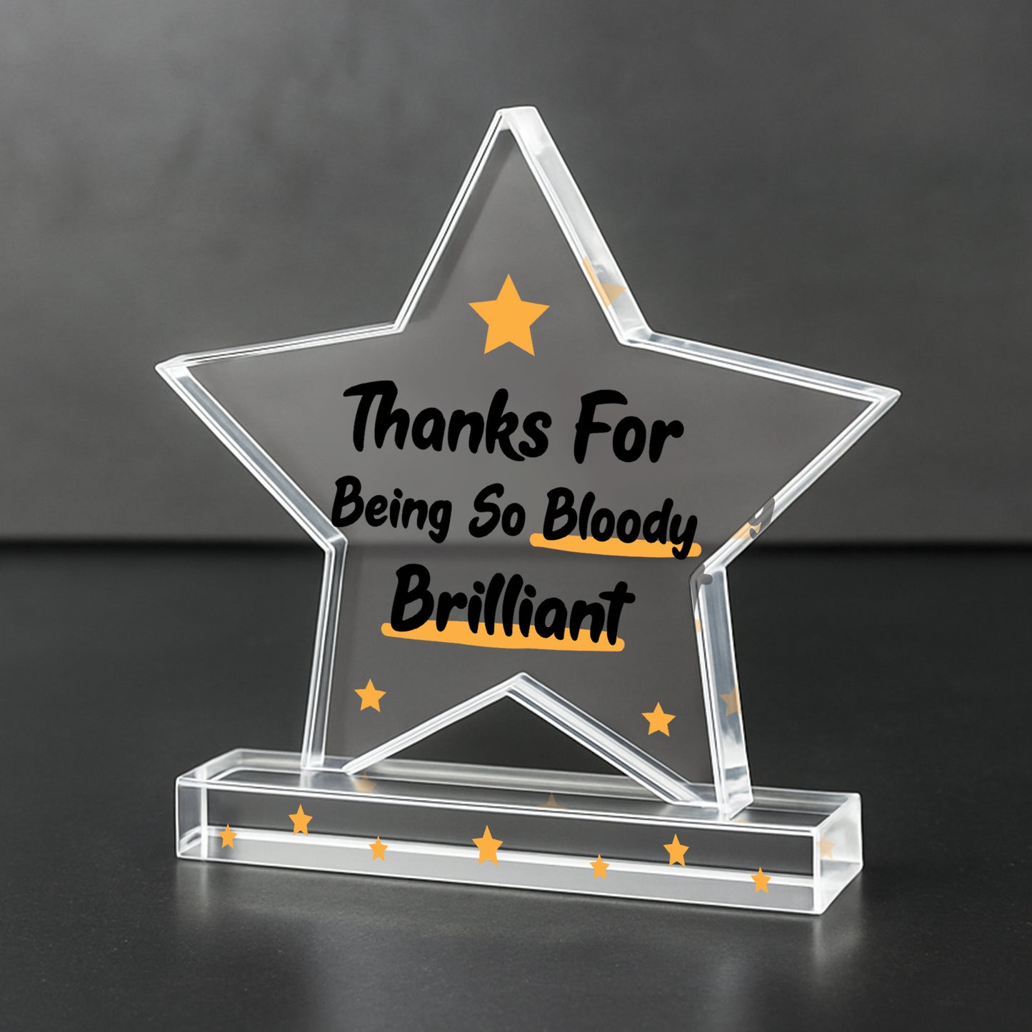 Appreciation Gifts For Him Her Thank You Gifts Brilliant Plaque