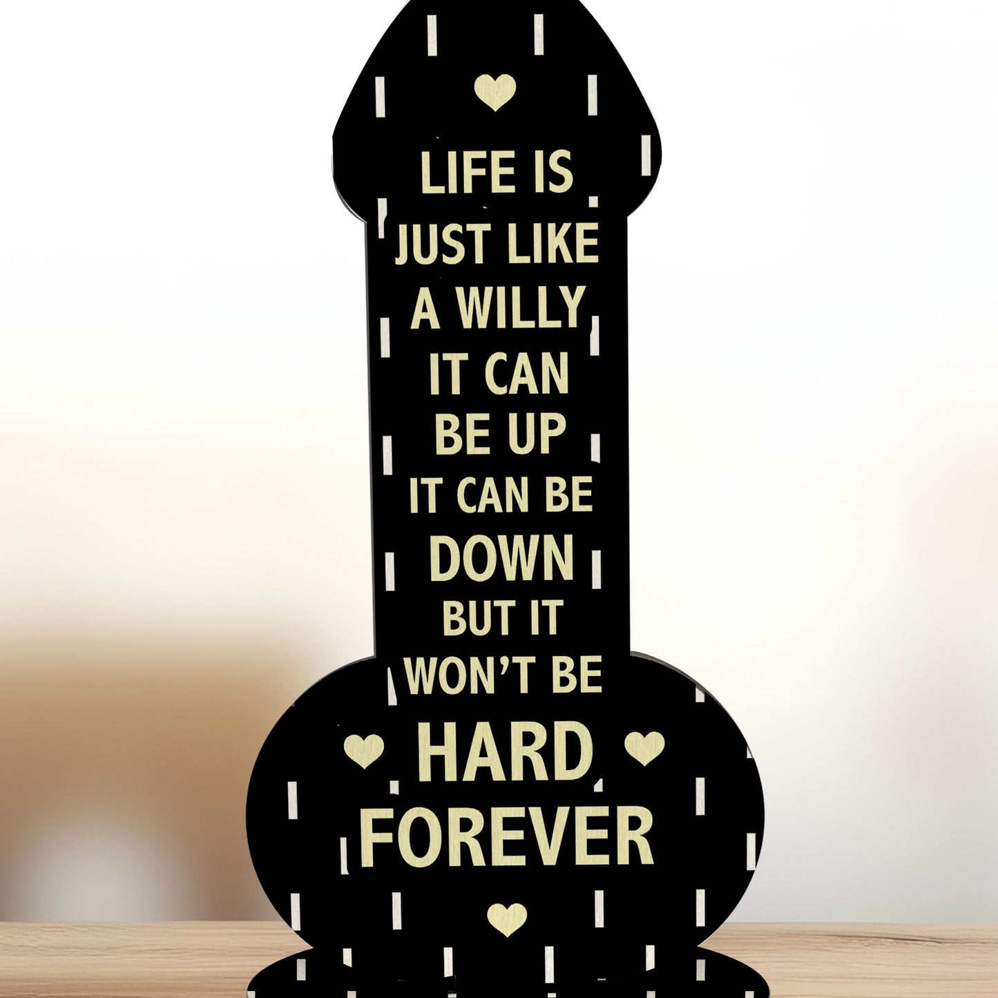 Funny Friendship Gifts Novelty Birthday Rude Best Friend Gift