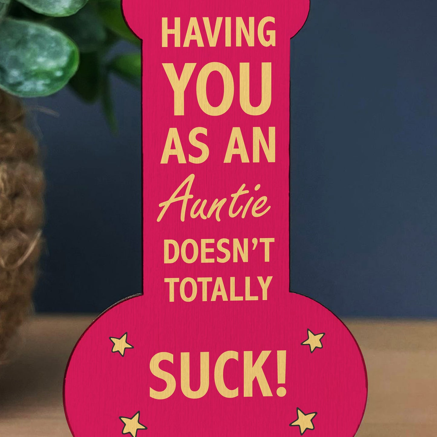 Funny Rude Gift For Auntie Birthday Christmas Joke Gift For Her