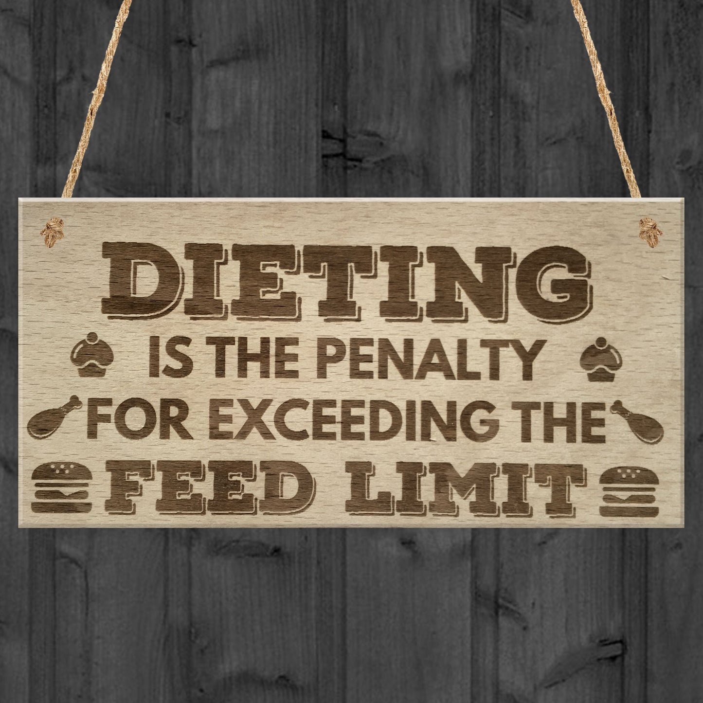 Dieting Feed Limit Funny Weigt Loss Friendship Hanging Plaque