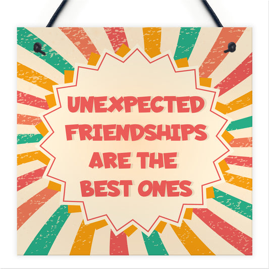Best Friend Unexpected Friendships Sign Colourful Love Plaque