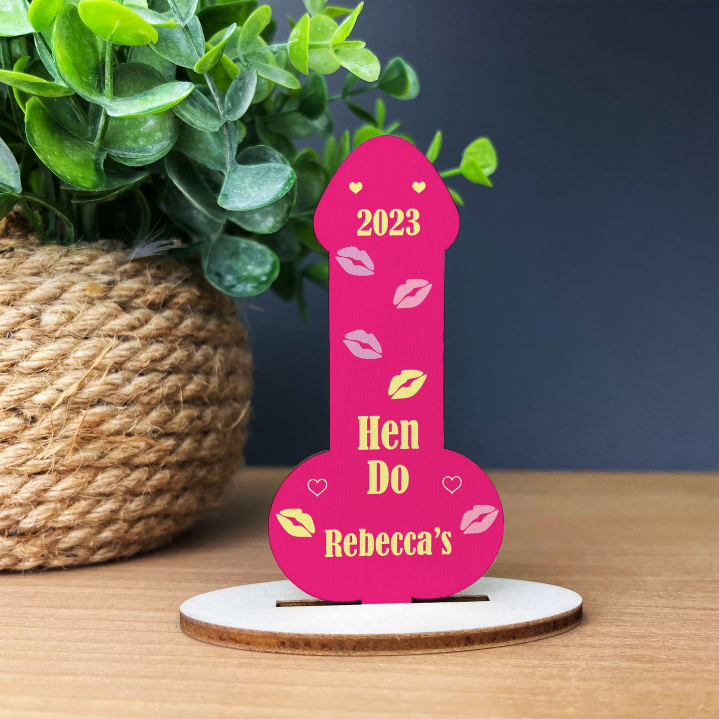 Funny Hen Party Decoration Hen Do Gifts For Bride To Be Plaque
