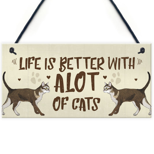 Alot Of Cats Sign Home Funny Crazy Cat Lady Sign Cat Lover Gift