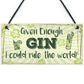 Funny Gin Sign Gin And Tonic Gift Man Cave Home Bar Kitchen Sign