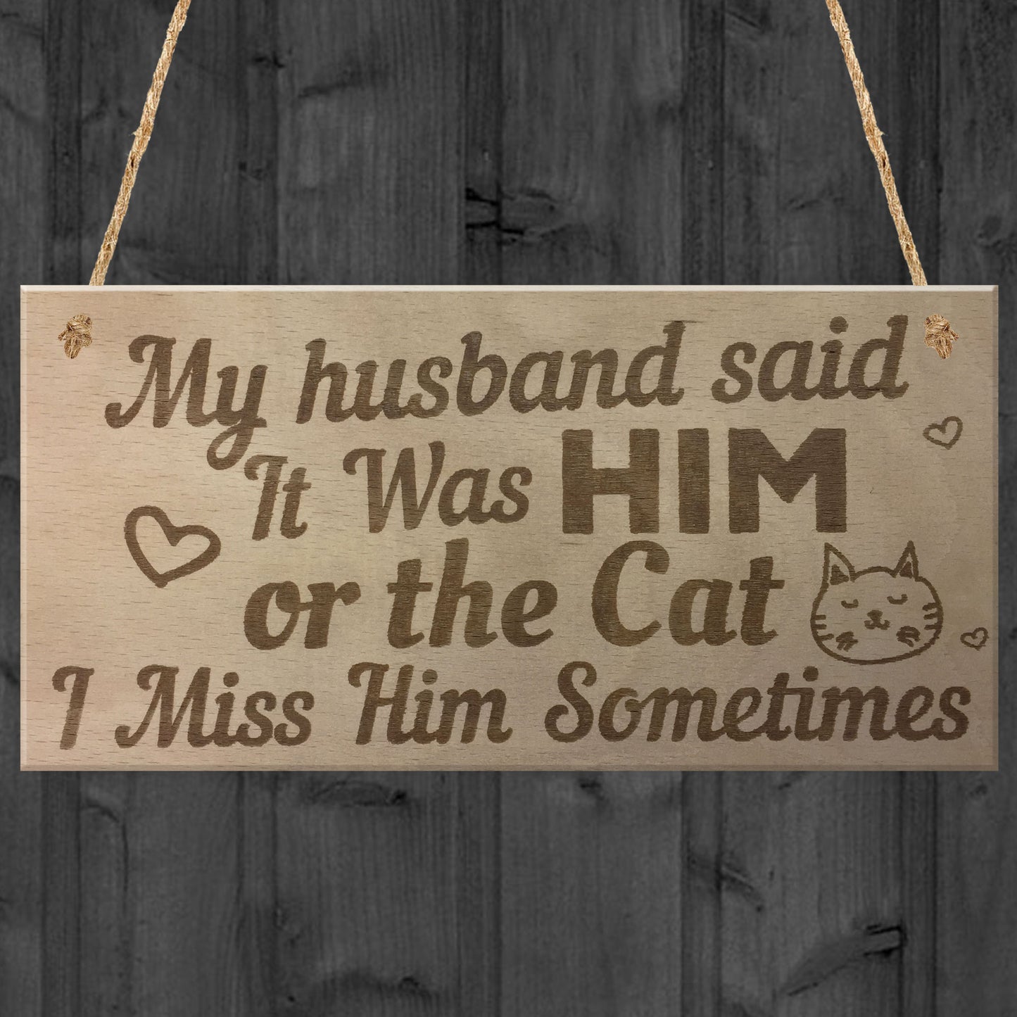 Him Or The Cat Handmade Funny Anniversary Wooden Plaques