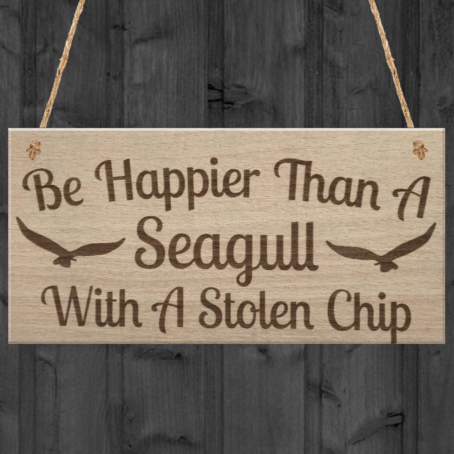 Happier Seagull Funny Inspiring Friendship Gift Hanging Plaque