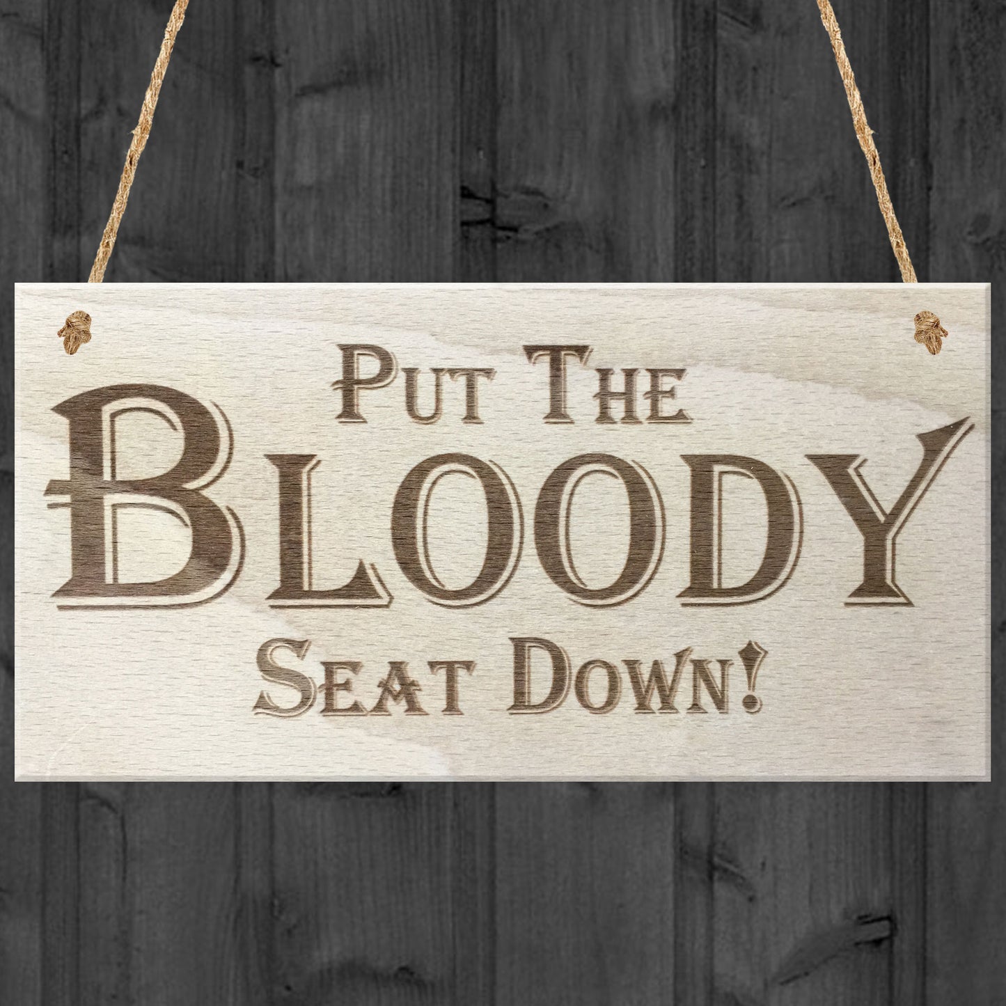 Put The Bloody Seat Down Novelty Wooden Hanging Plaque Gift Sign