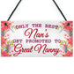 BEST NANS Promoted To GREAT NANNY Pregnancy Gift Hanging Plaque