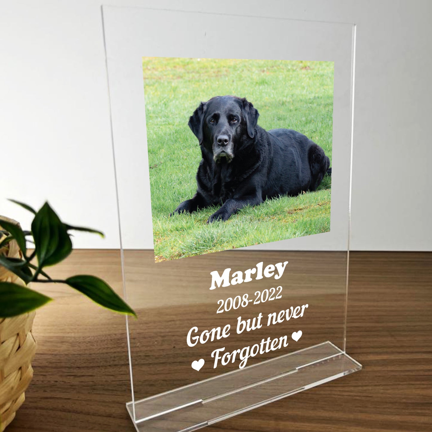 Personalised Dog Pet Memorial Acrylic Plaque For Dog Animal