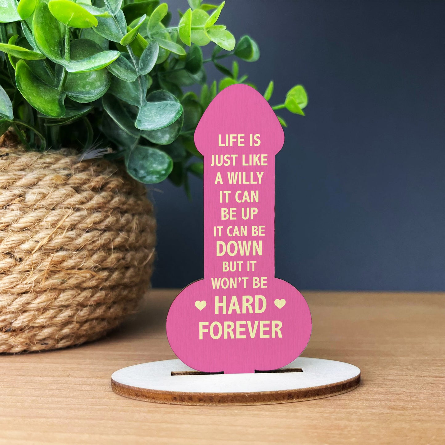 Motivational Plaque Funny Friendship Plaque Novelty Birthday