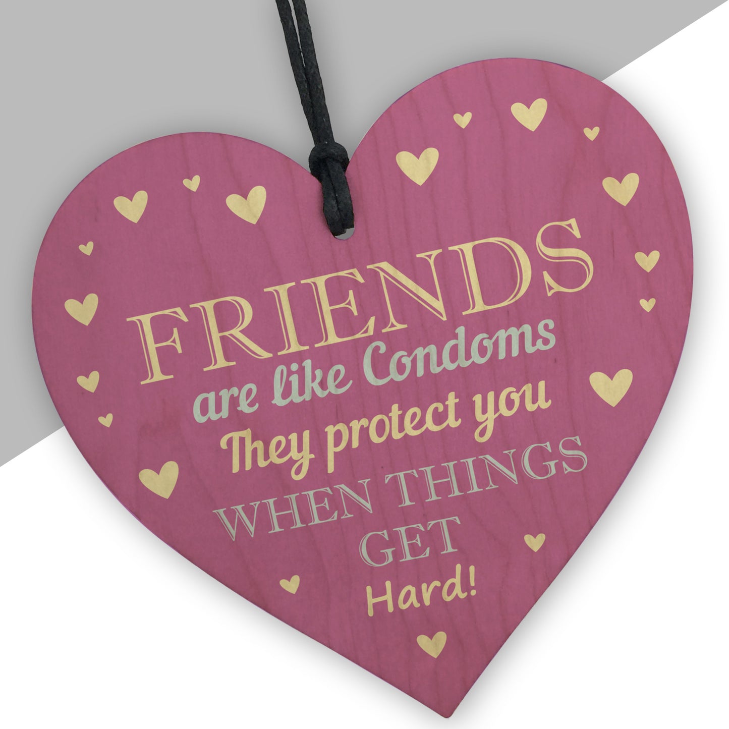 Funny Rude Friendship Sign Joke Birthday Christmas Gift