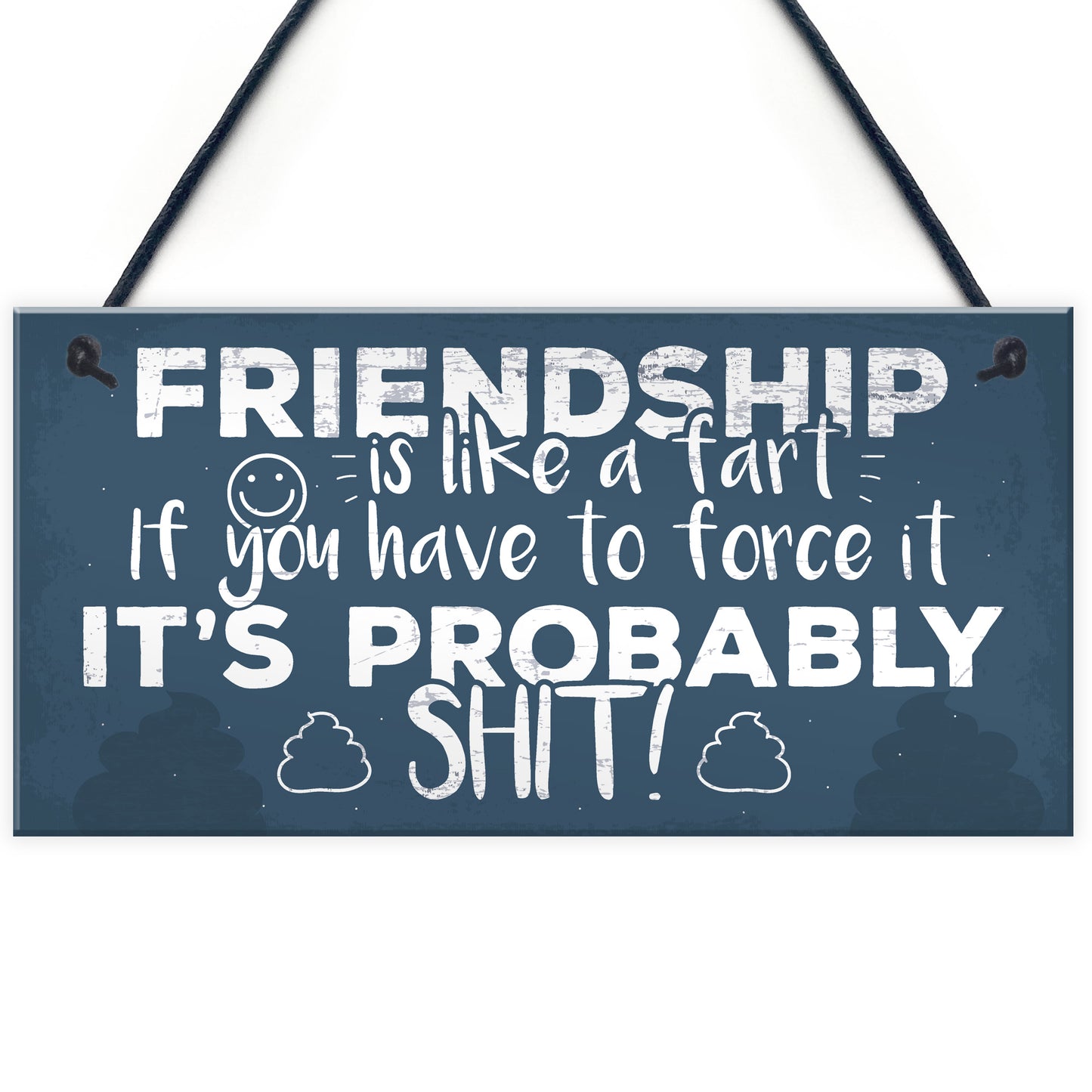 Funny Friendship Sign Novelty Best Friend Plaque Birthday Gift