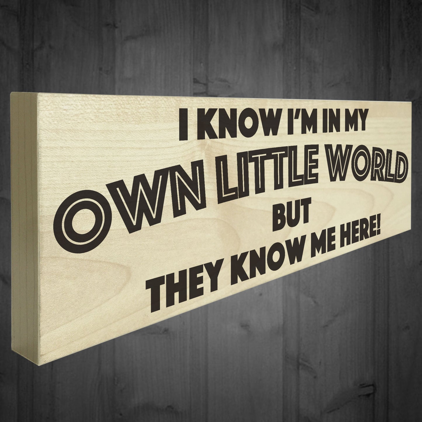 My Own Little World Wooden Freestanding Novelty Plaque