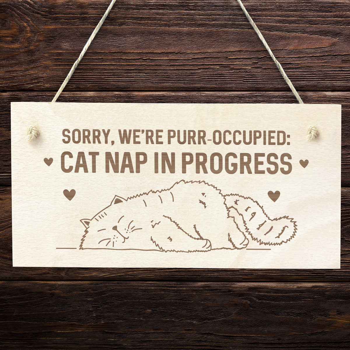 Funny Cat Gifts For Cat Lovers Cat Signs Gift For Women Engraved