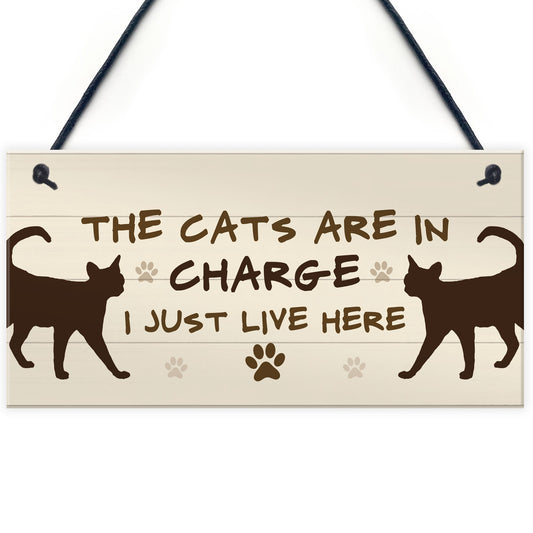 The Cats Are In Charge Hanging Sign Funny Cat Gift Home Decor