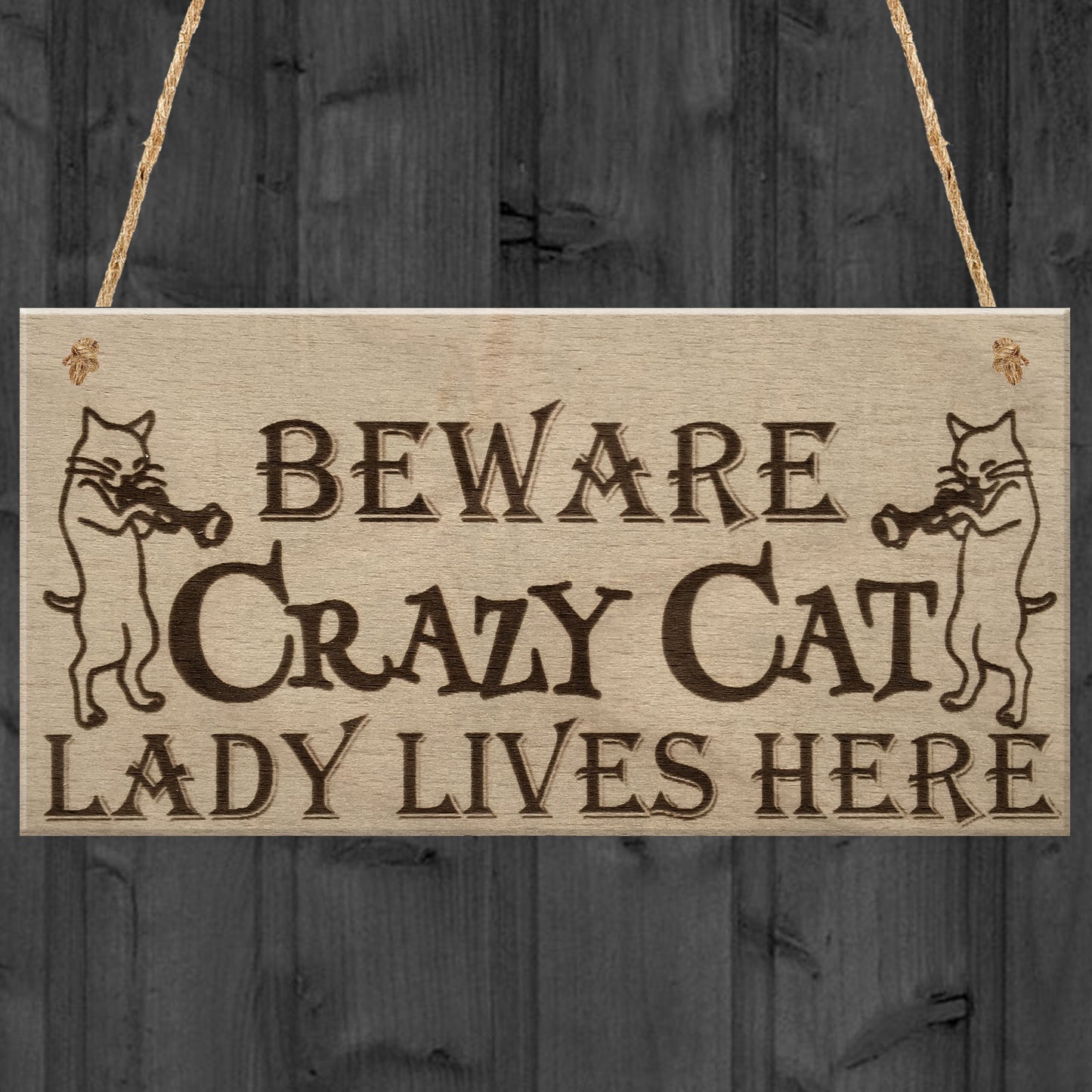 Crazy Cat Lady Cute Funny Gift Idea Animal Lover Hanging Plaque