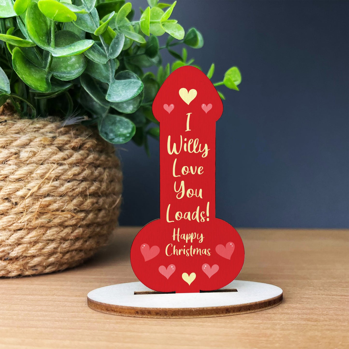 Girlfriend Boyfriend Christmas Gift Funny Plaque For Friend Him