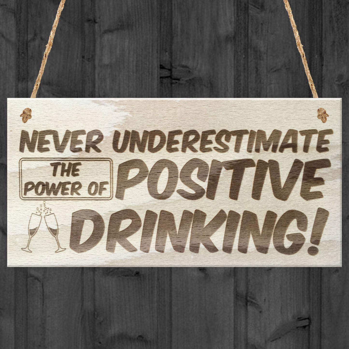 Never Underestimate The Power Of Positive Drinking Novelty Sign