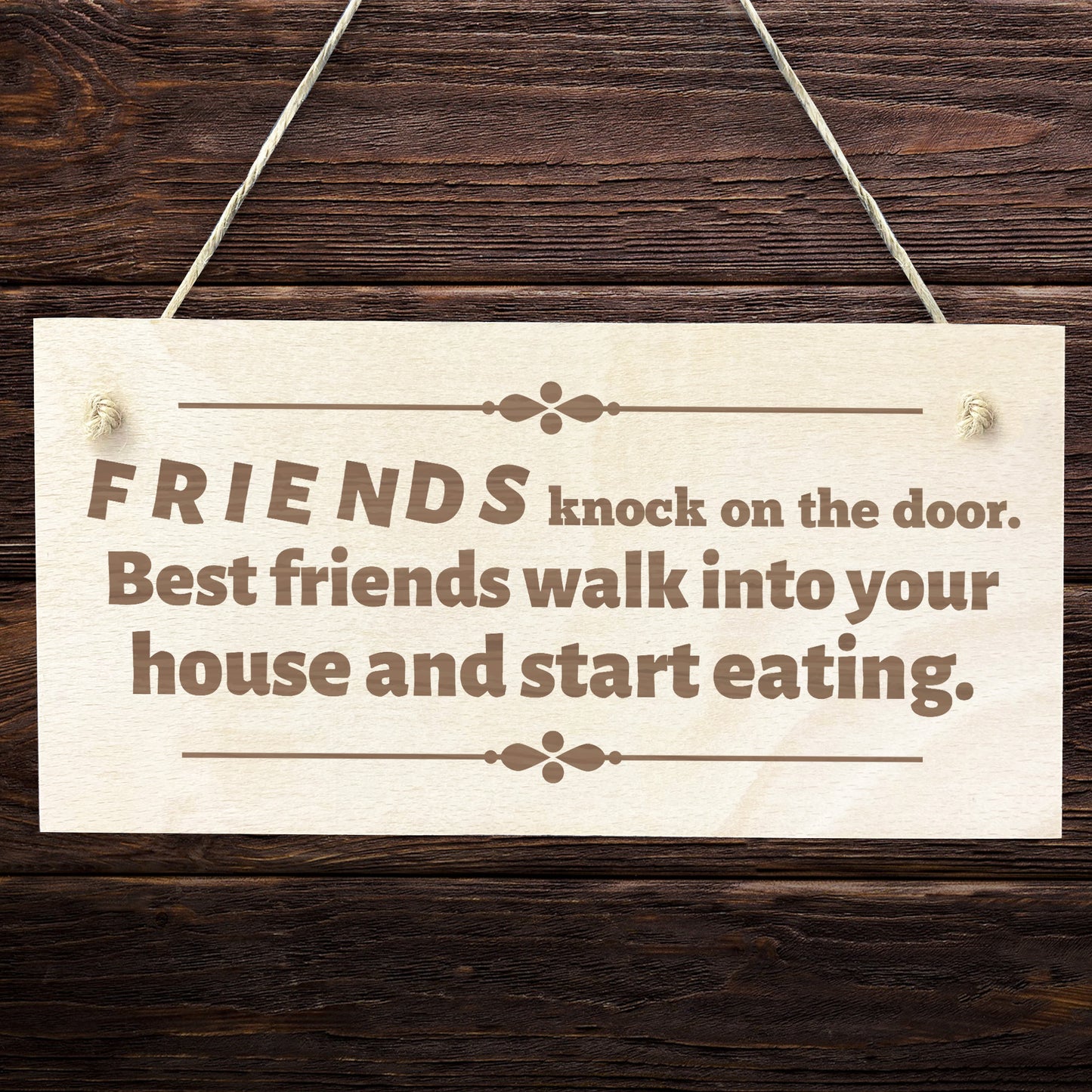 Funny FRIENDSHIP Gift Wooden Hanging Sign Best Friend Gifts