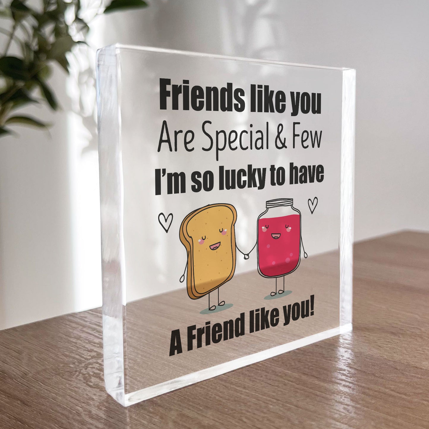 Friend Gift Acrylic Plaque Friendship Gift For Best Friend Gifts