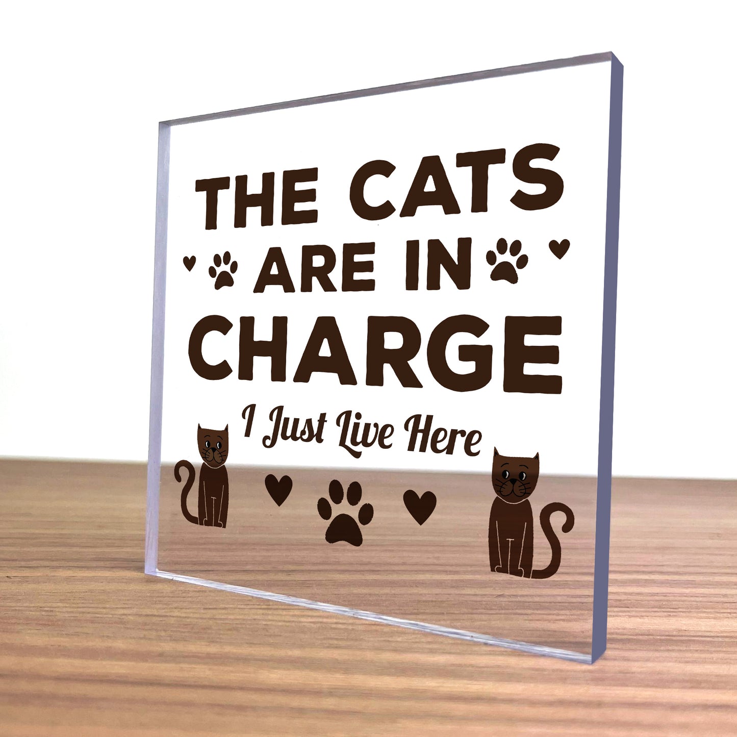Funny Cat Gifts For Cat Lover Gift For Women Acrylic Animal Sign