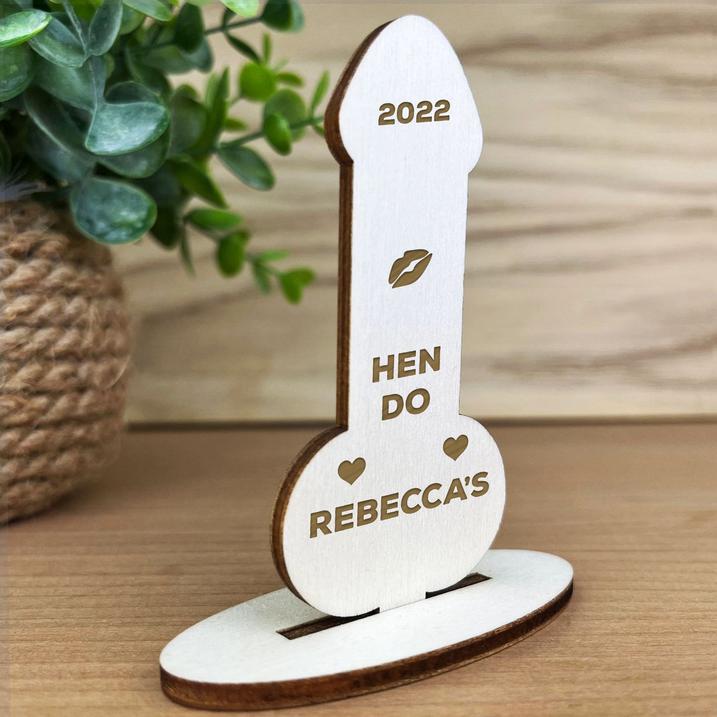 Hen Party Accessories Funny Hen Party Gift Hen Party Decorations