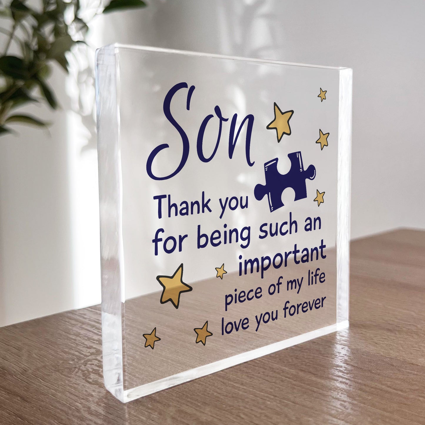 Gifts for Son Acrylic Block Son Birthday Gifts Idea Christmas