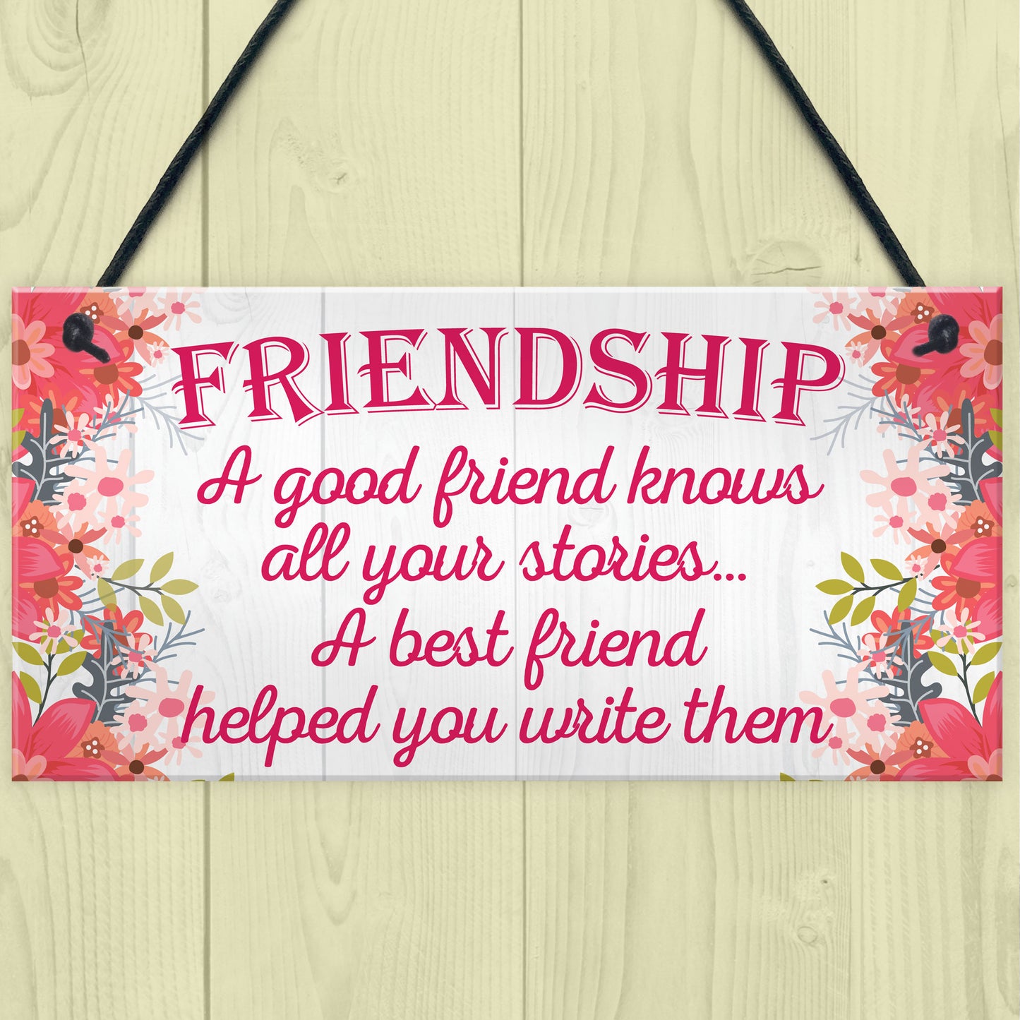 Friendship Stories Funny Best Friend Love Gift Hanging Plaque