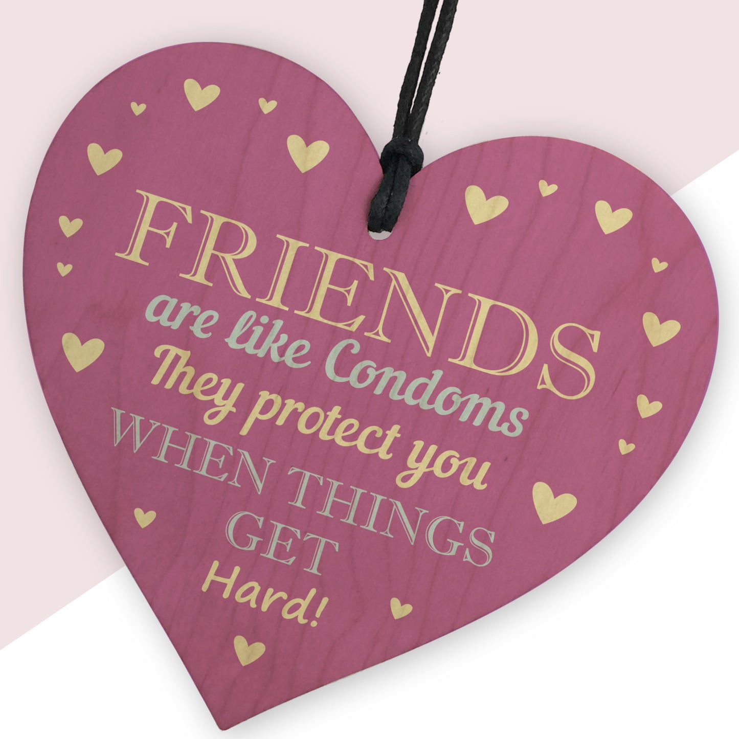 Funny Rude Friendship Sign Joke Birthday Christmas Gift