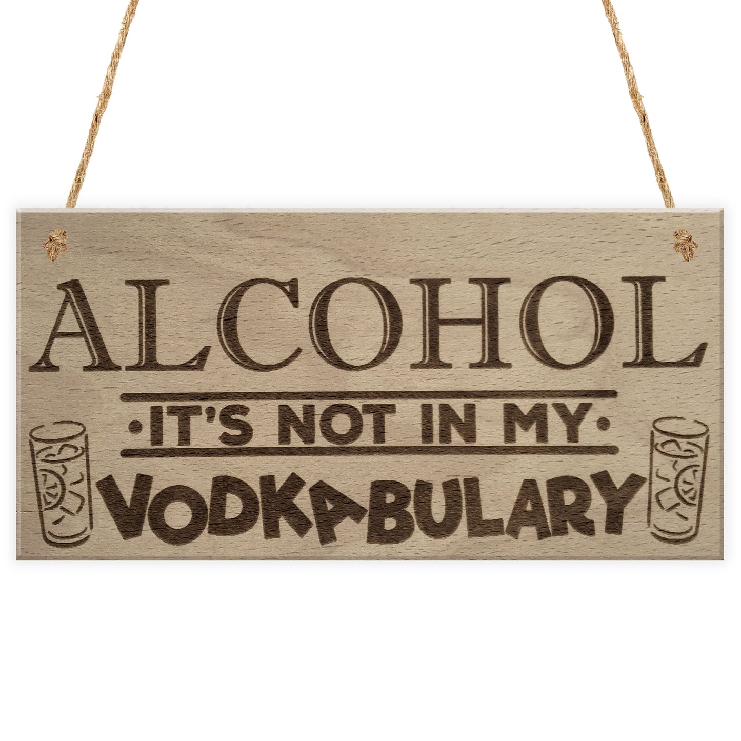 Alcohol Vodkabulary Funny Vodka Friendship Gift Hanging Plaque
