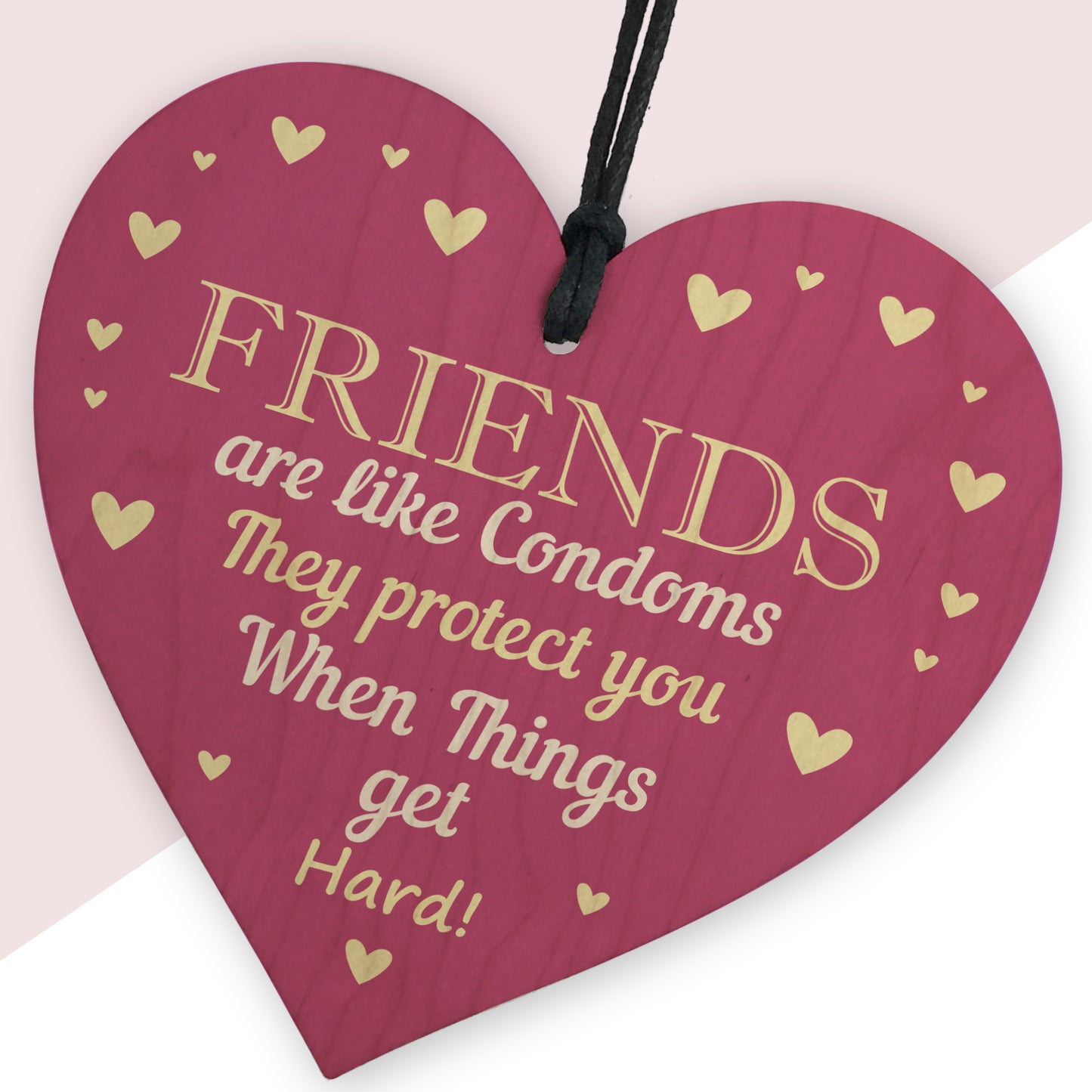 Funny Rude Friendship Plaque Novelty Birthday Gift For Friend