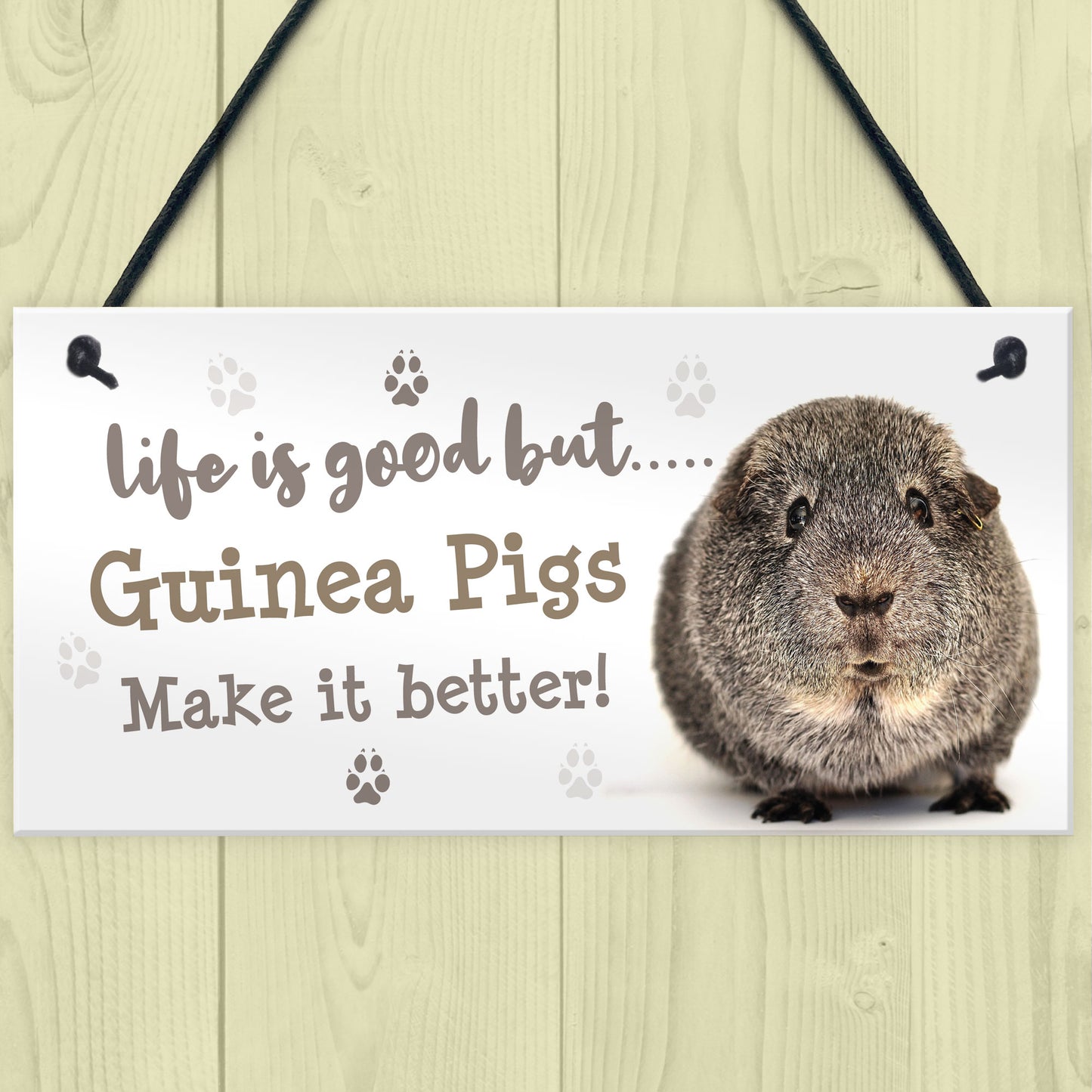 Guinea Pig Sign Handmade Gift Sign For Guinea Pig Owners