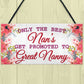 BEST NANS Promoted To GREAT NANNY Pregnancy Gift Hanging Plaque