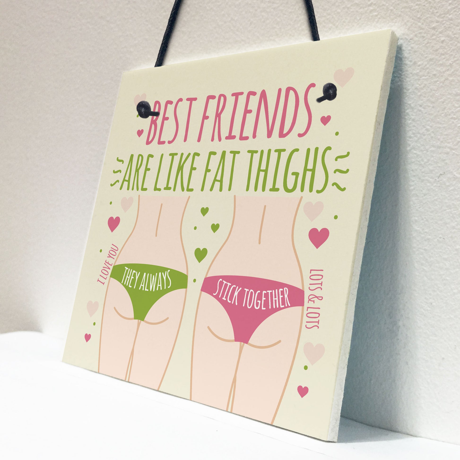 FUNNY BEST FRIEND CARD Friendship Plaque Funny Birthday Gifts