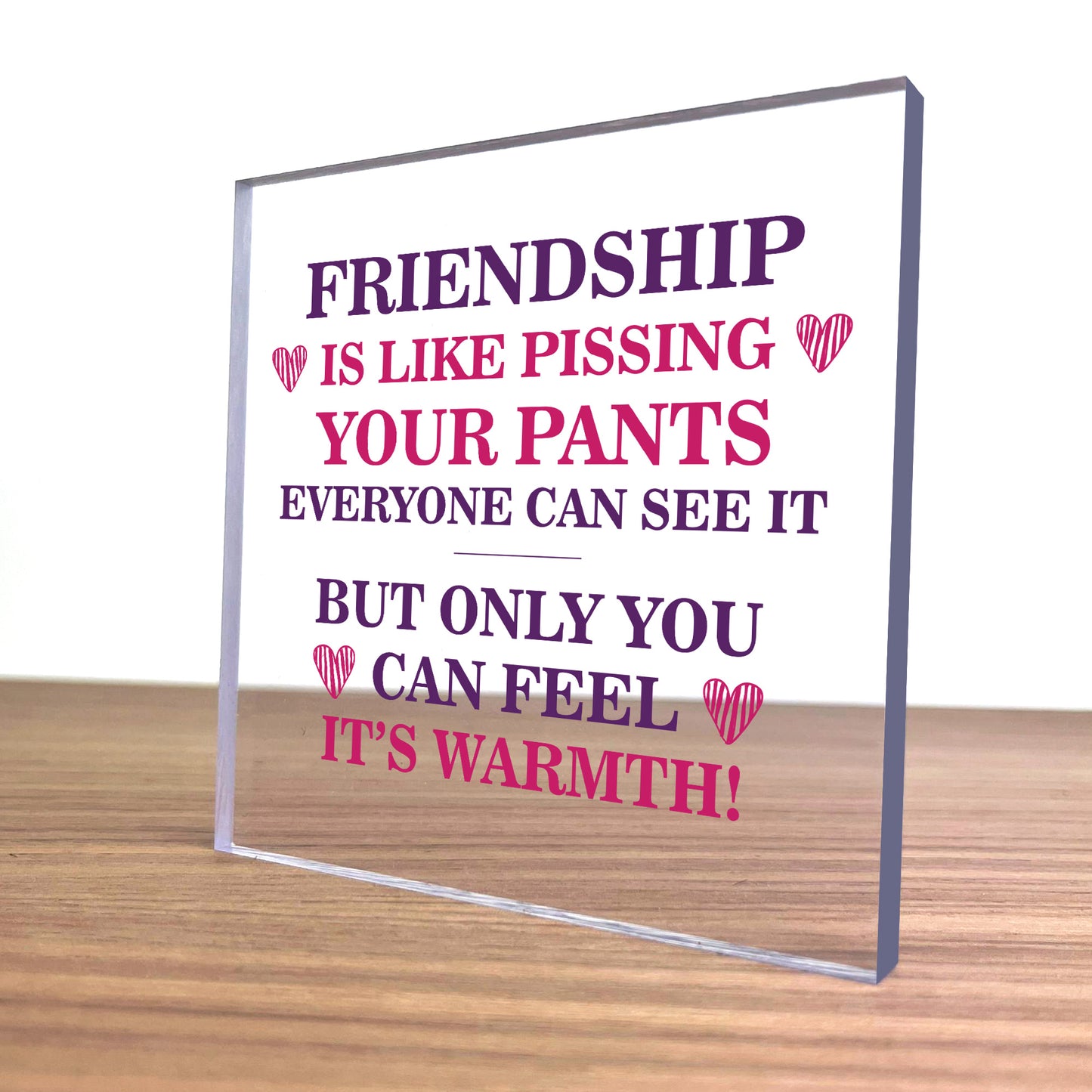 Best Friend Plaque Friendship Gift Novelty Birthday Christmas