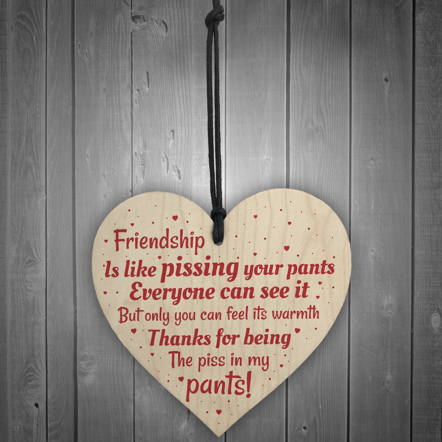 Friendship Best Friend Gift Funny Thank You Birthday Wooden Gift