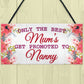 BEST MUMS Promoted to NANNY Pregnancy Gift Baby Hanging Plaque