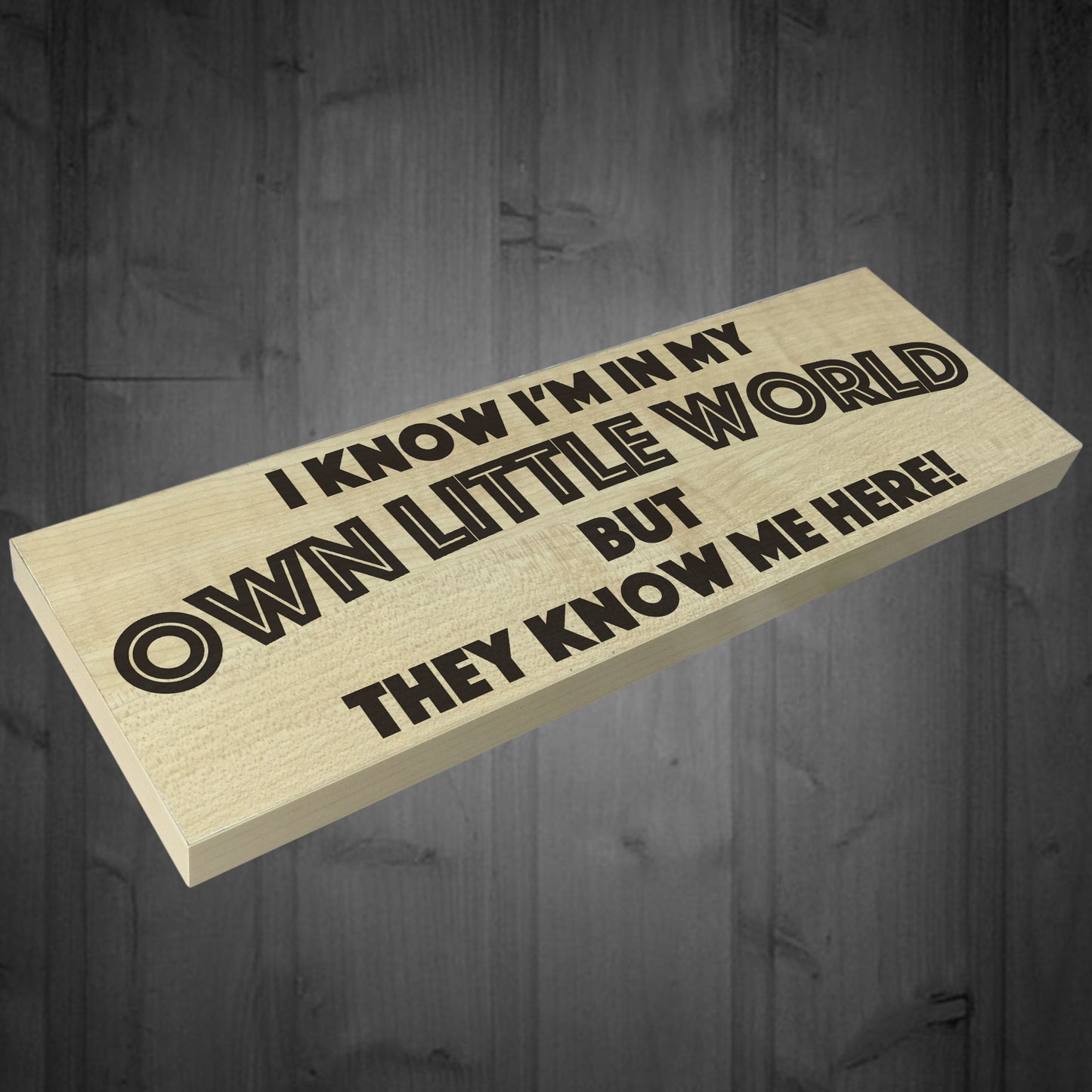 My Own Little World Wooden Freestanding Novelty Plaque