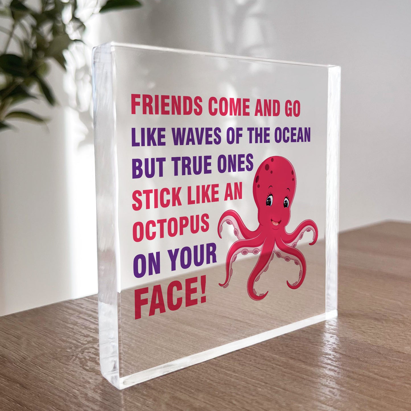 Friendship Keepsake Plaque Best Friend Gifts Thank You Birthday