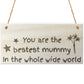 Bestest Mummy In The World Wooden Hanging Plaque Love Gift Sign