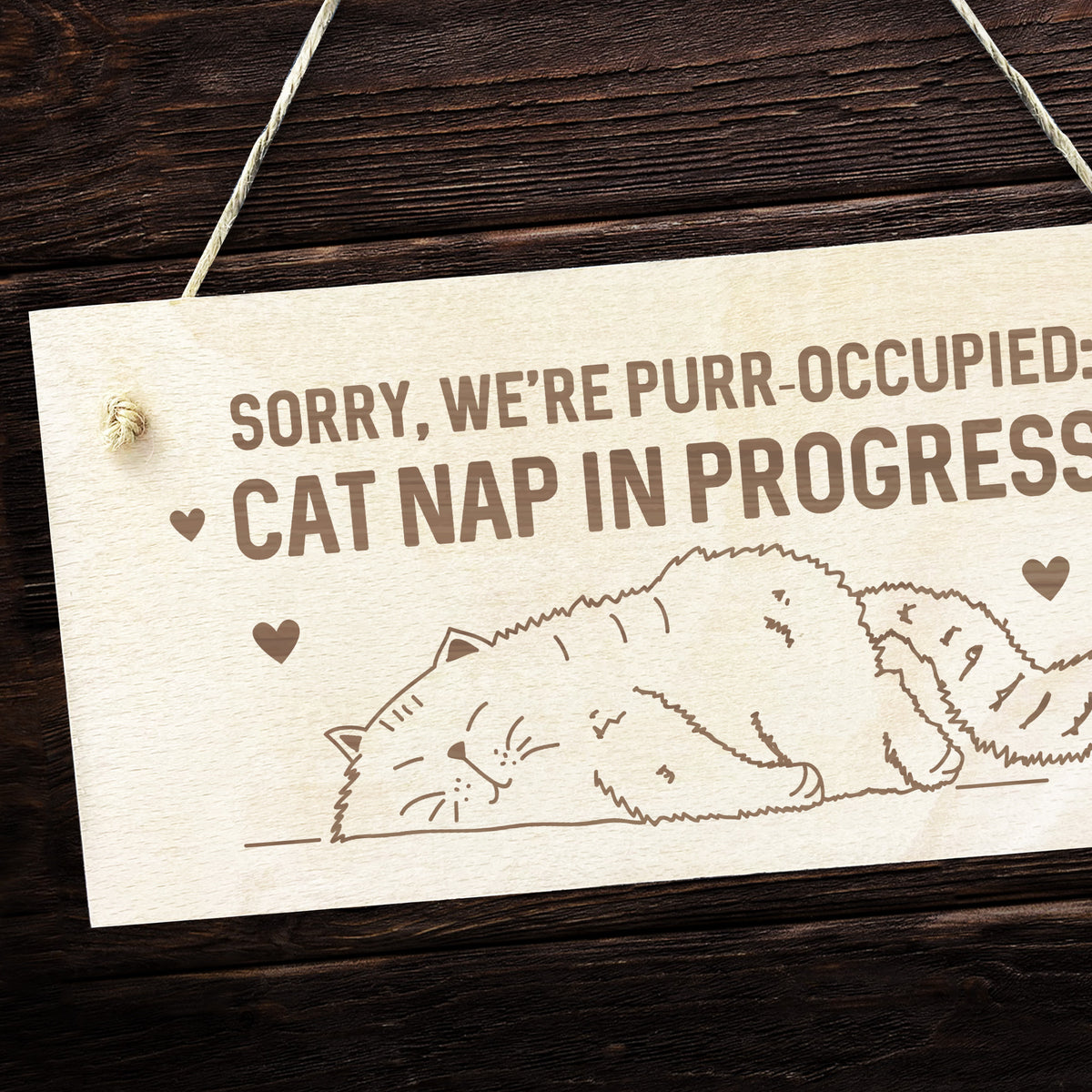 Funny Cat Gifts For Cat Lovers Cat Signs Gift For Women Engraved