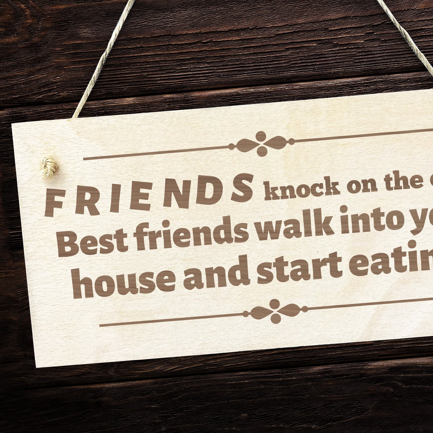 Funny FRIENDSHIP Gift Wooden Hanging Sign Best Friend Gifts
