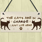 The Cats Are In Charge Hanging Sign Funny Cat Gift Home Decor
