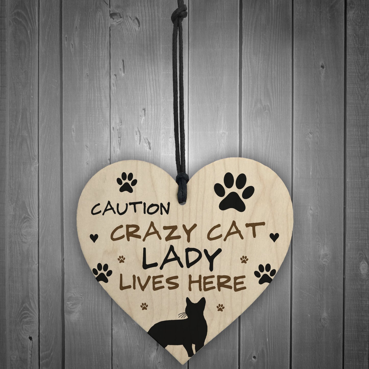 Cat Sign CRAZY CAT LADY Gift For Women Cat Gift Funny Cat Sign