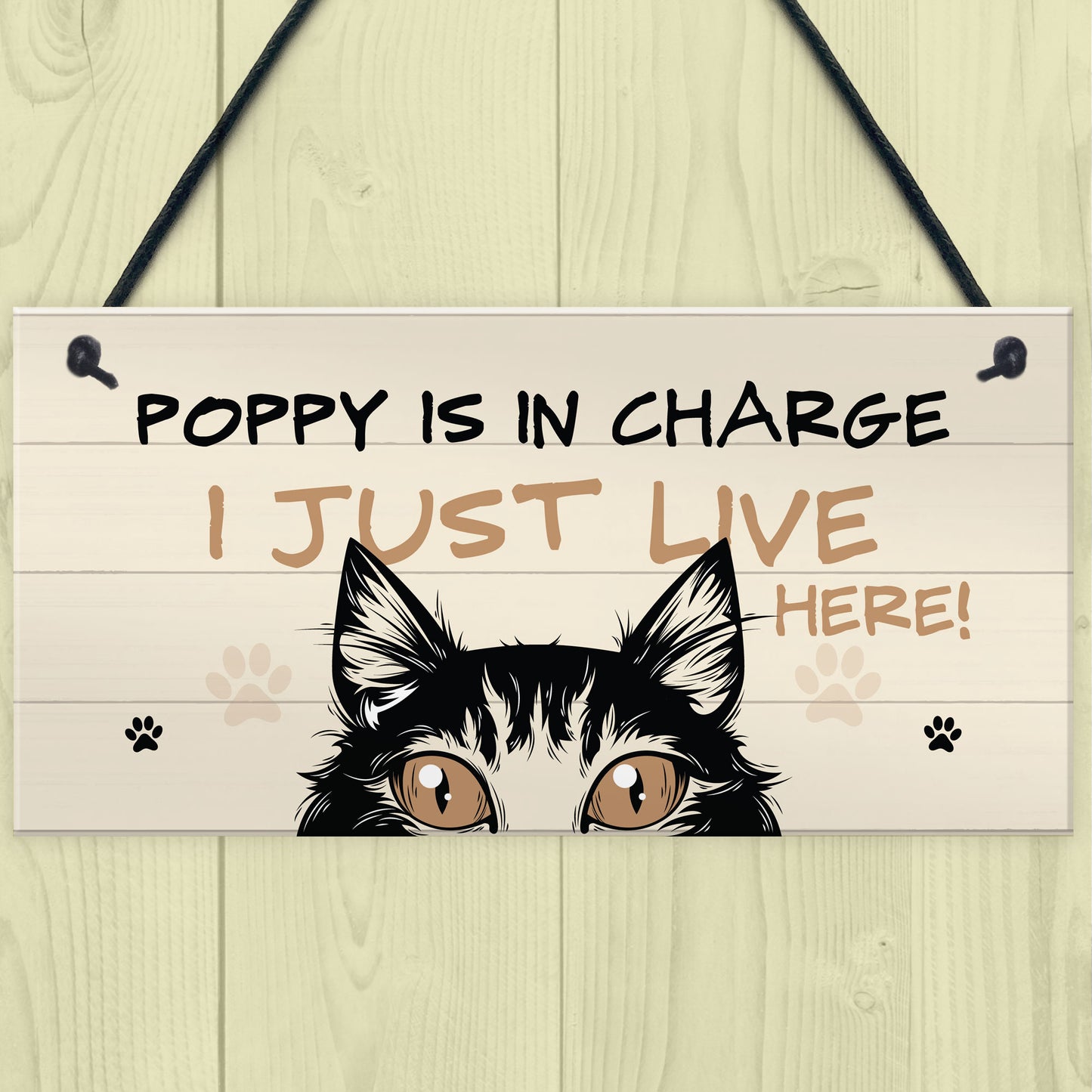 Funny Cat Sign In Charge Cat Lovers Gift For Women Home Decor