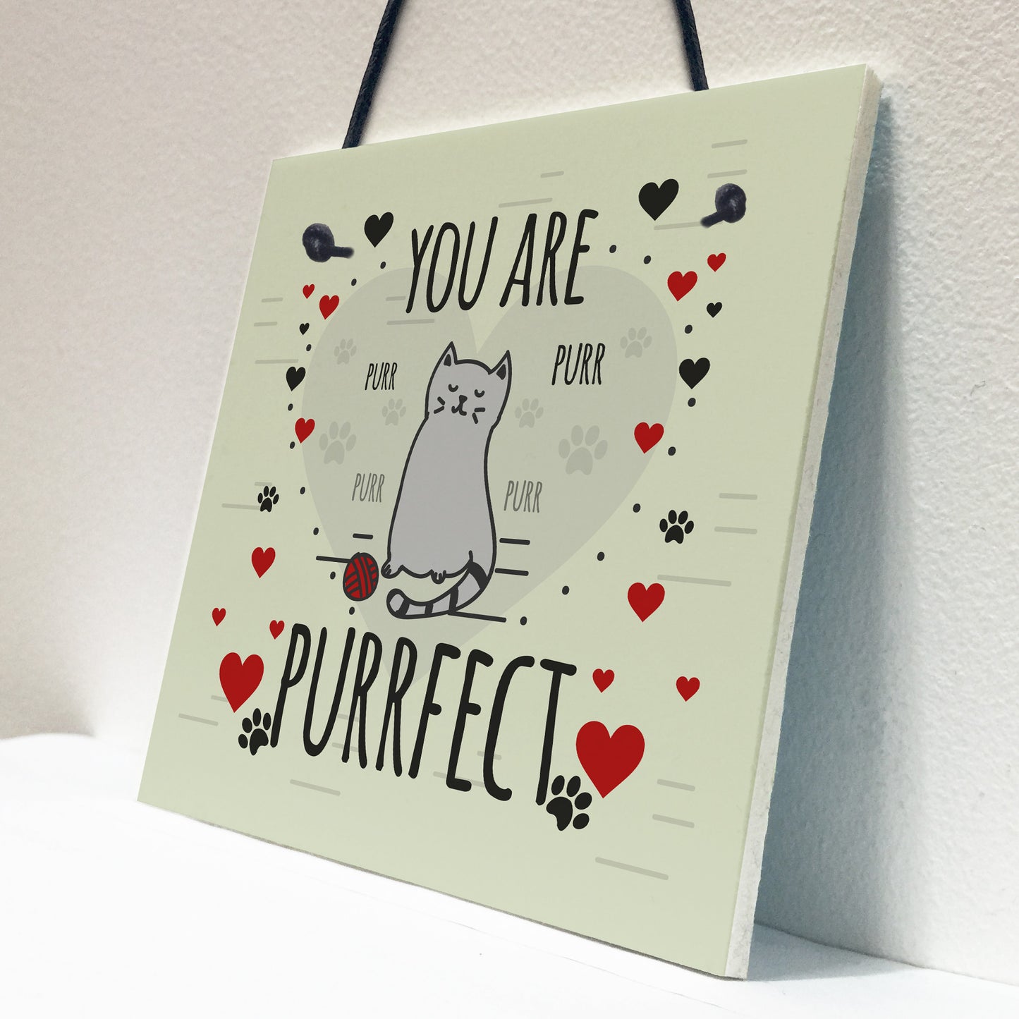 Funny Cats Sign Home Decor Crazy Cat Lady Sign Pet Lover Gifts